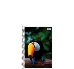 CADERNETA 1/8 ESP.FLEX&Iacute;VEL 48FLS 1270-9 C/20